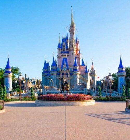 Walt Disney World - Florida